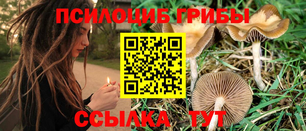 Псилоцибиновые грибы Magic Shrooms  Вход с VPN  Родники  Галлюциногенные грибы Magic Shrooms 